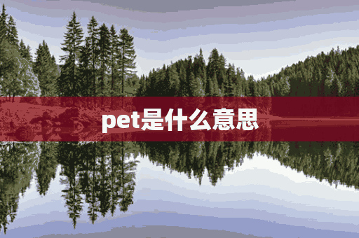 pet是什么意思(英语考PET是什么意思)